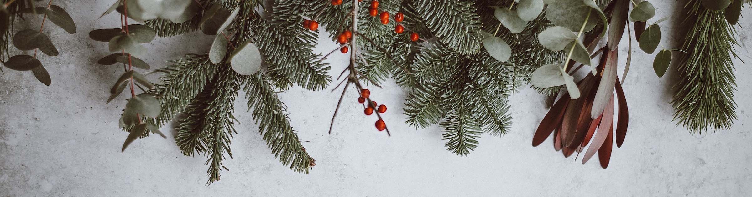 5 Tips for Surviving (and Thriving!) During the Holiday Season - UF ...